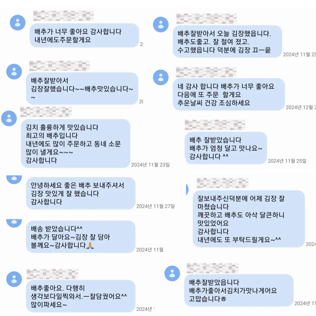 황금절임배추 소개 사진 6