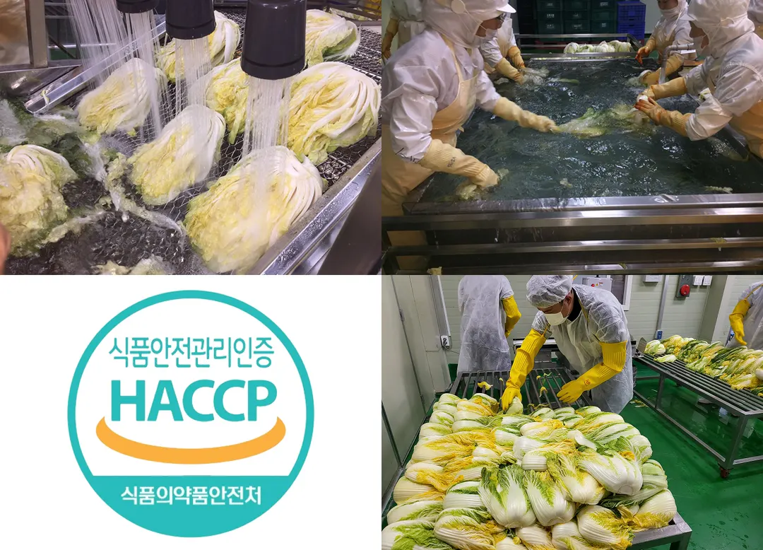 황금절임배추 소개 사진 17