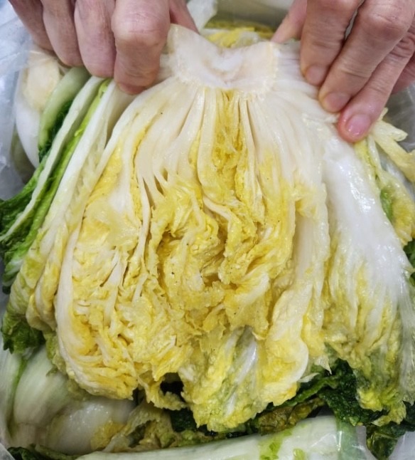 고객이 올린 김장 사진 2