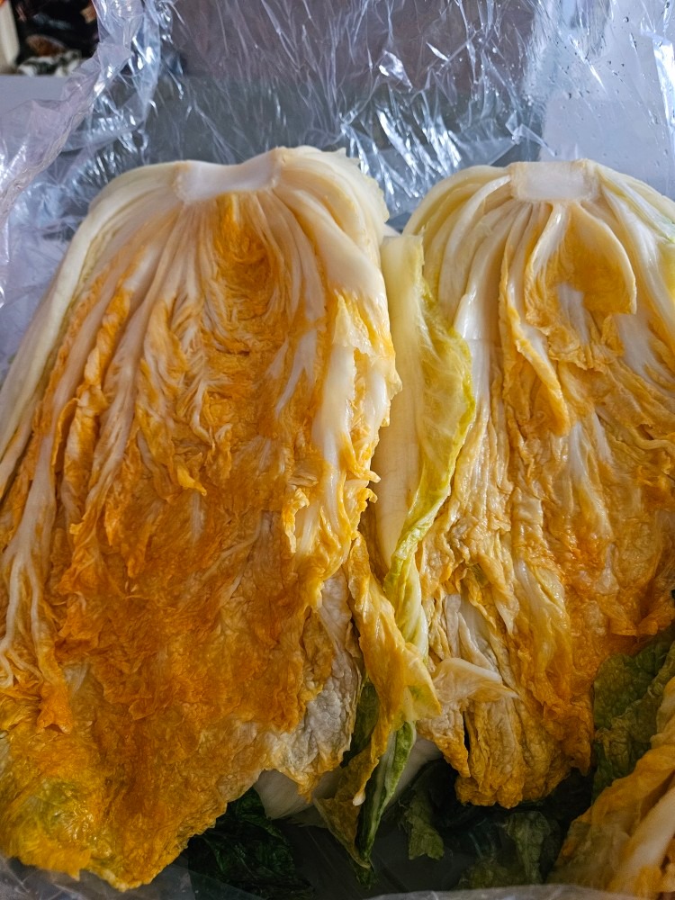 고객이 올린 김장 사진 1