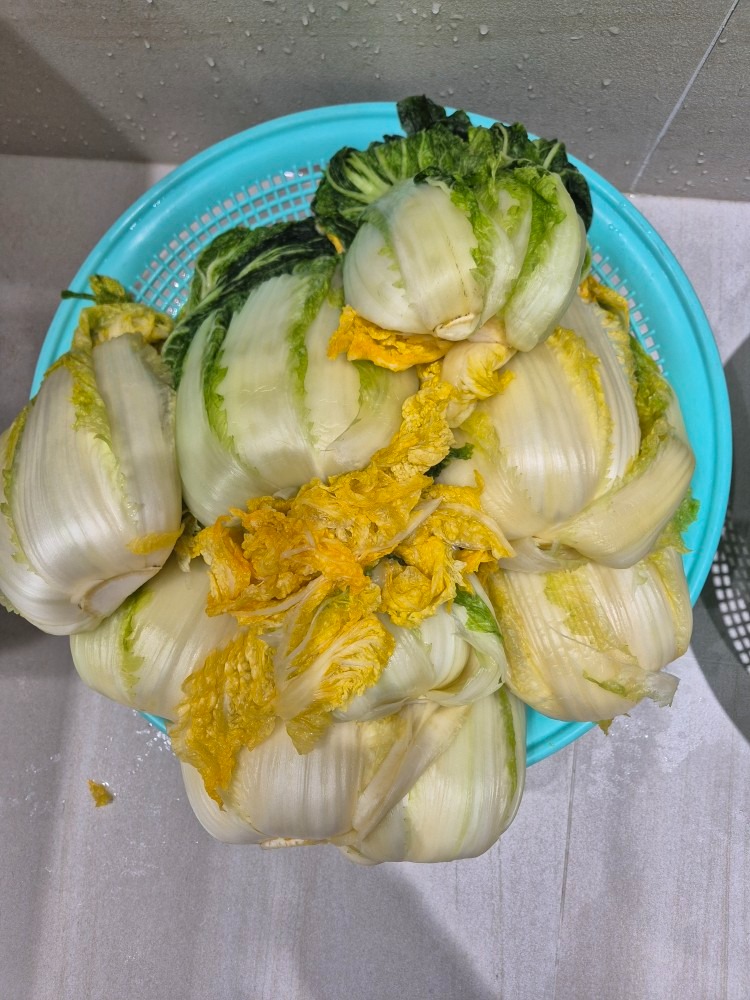 고객이 올린 김장 사진 1