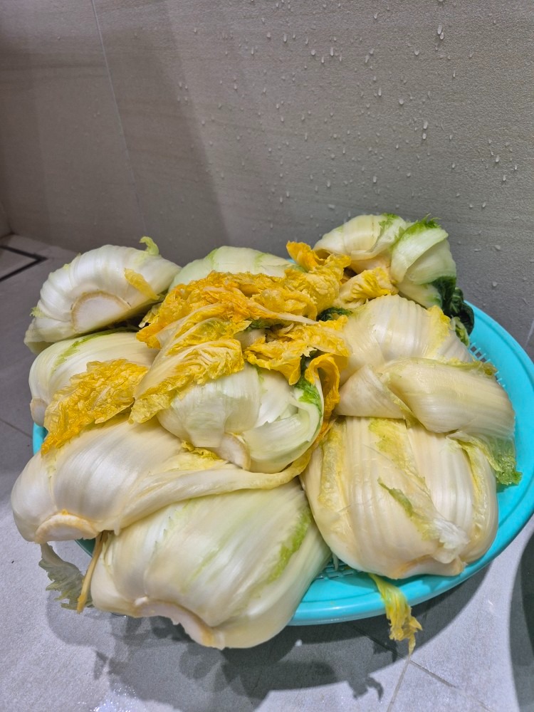 고객이 올린 김장 사진 2