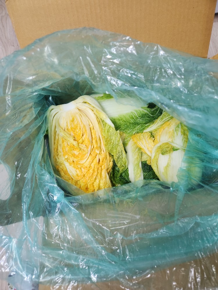 고객이 올린 김장 사진 1