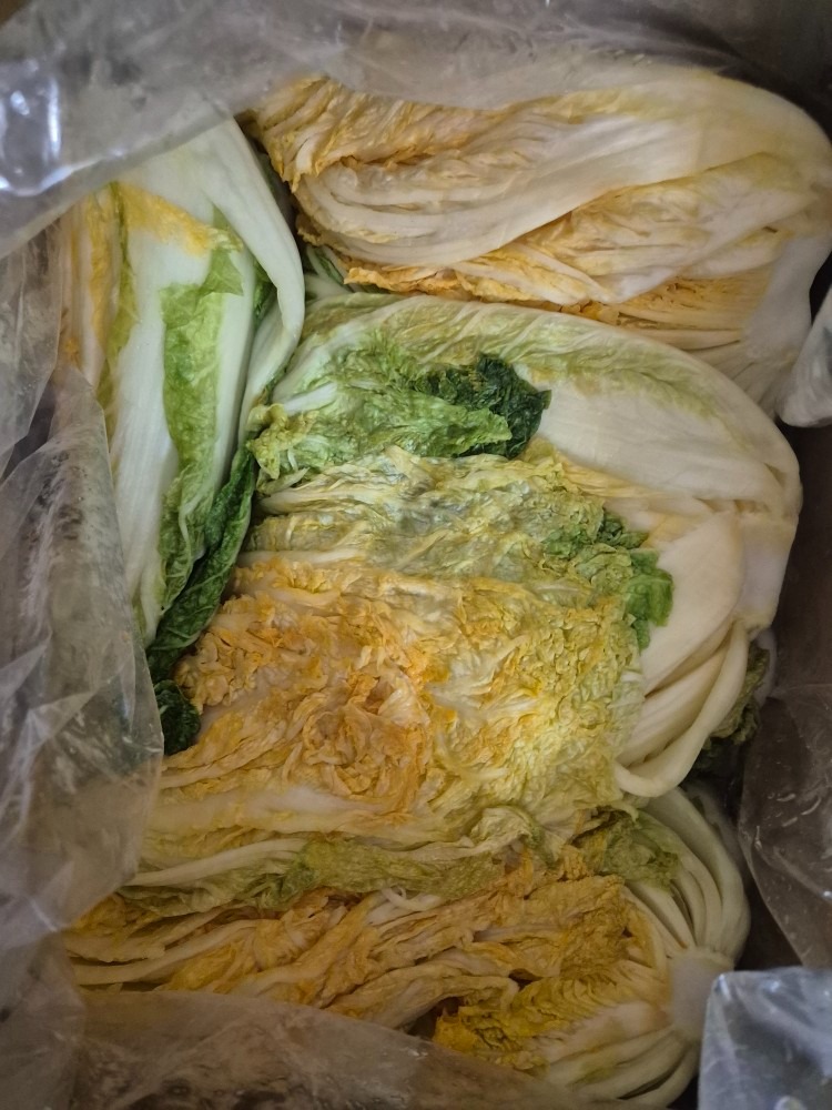 고객이 올린 김장 사진 2