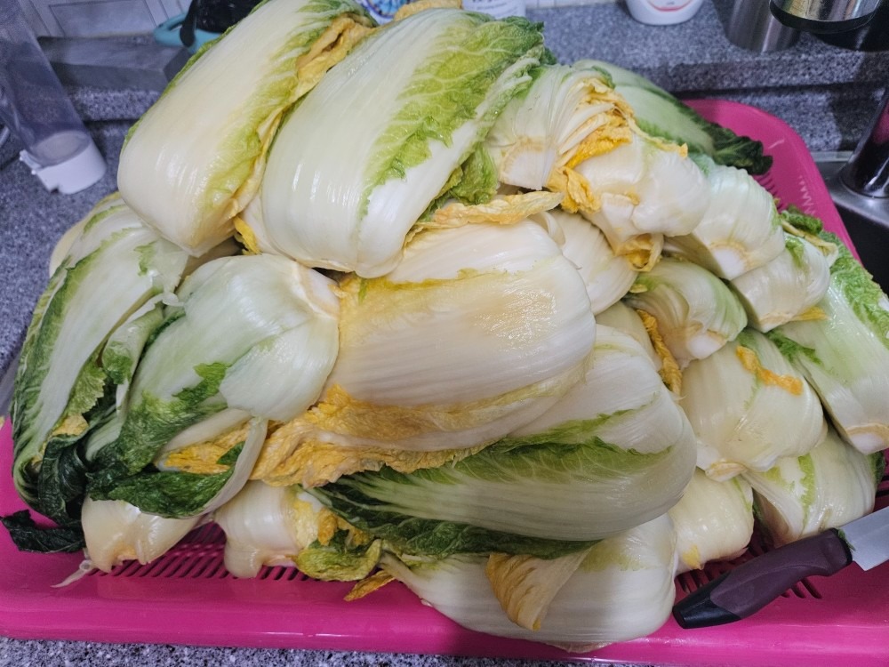 고객이 올린 김장 사진 2